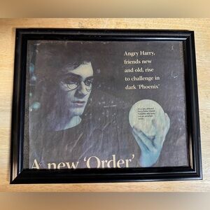 Framed Harry Potter Newspaper Clipping